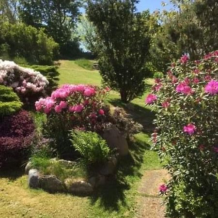 Bjergby Bed & Breakfast Panzió Hjørring Kültér fotó